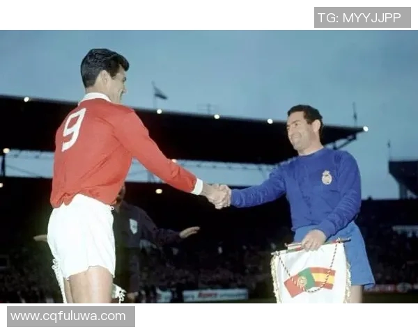 百位足球明星的传奇故事与辉煌瞬间全景回顾